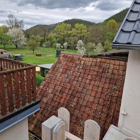 Ferienhaus Reschwitzer Auszeit Saalfeld Saale Dış mekan fotoğraf